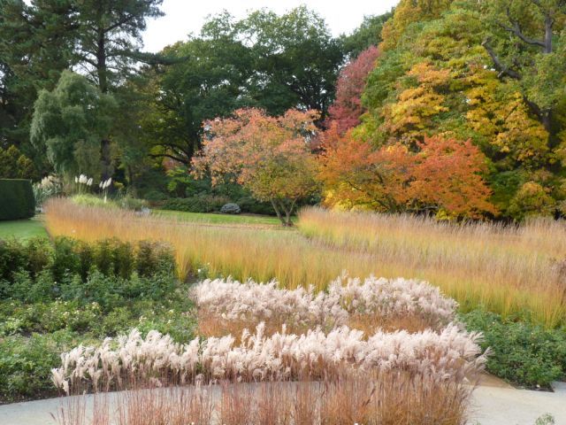The Savill Garden, 2010