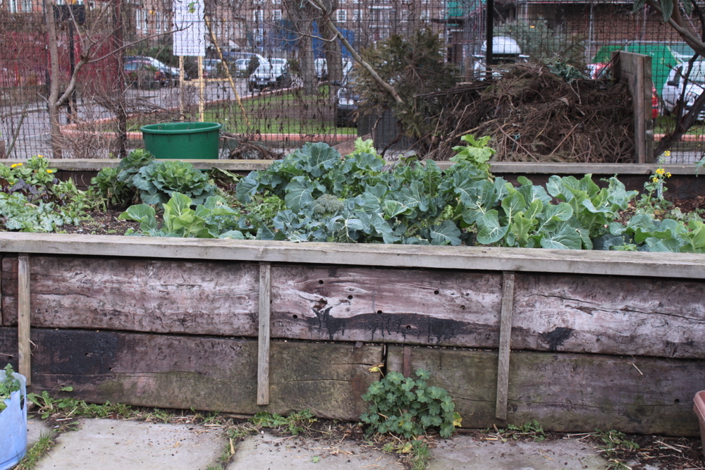 Vauxhall City Farm