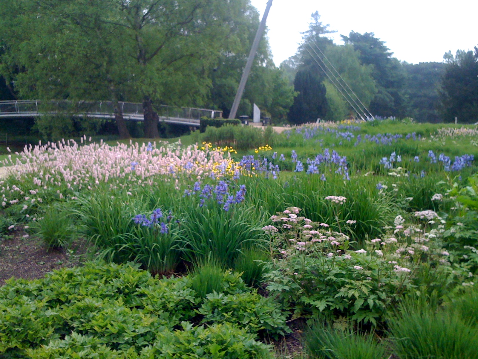 Trentham Gardens, Piet Oudolf