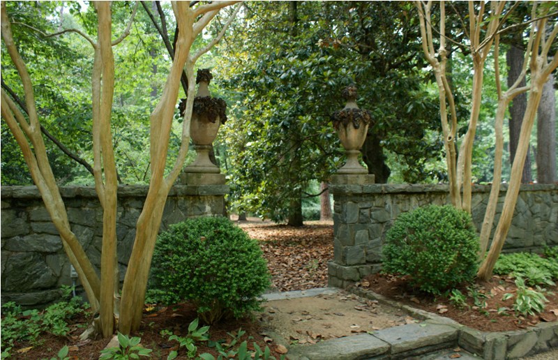 Crape Myrtle, Atlanta History Center