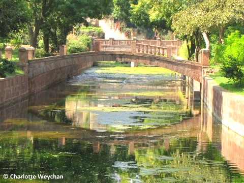 Balsamand Palace Garden, Jodhpur