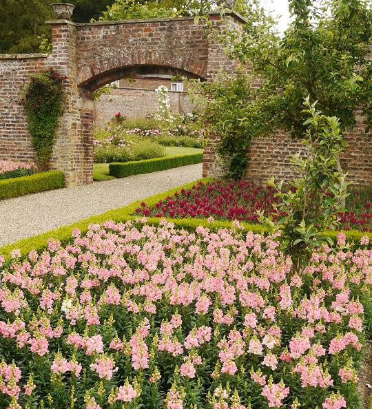 Sledmere House Garden, July