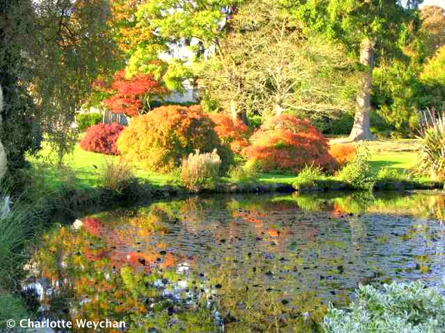 Wakehurst Place, Autumn