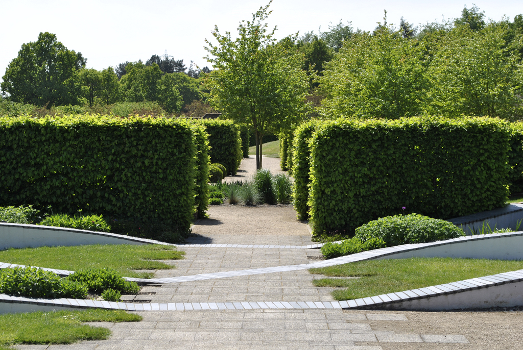 Marks Hall Gardens, Spring