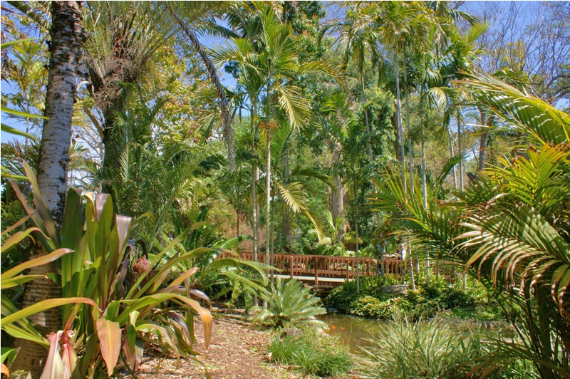 Flamingo Gardens, 2010