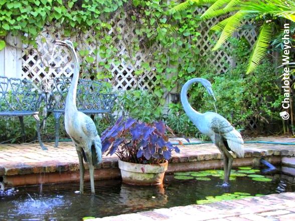 Pond, Audubon Gardens