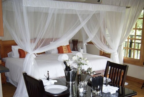 Beetleloop Guest House