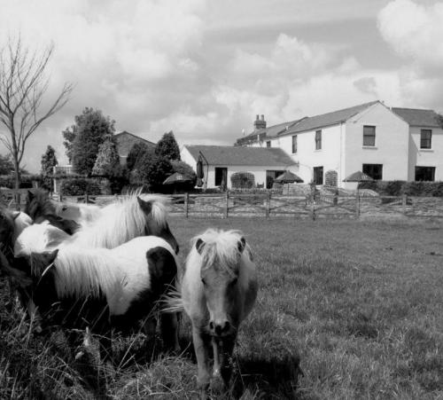 The Jersey Farm Country Hotel