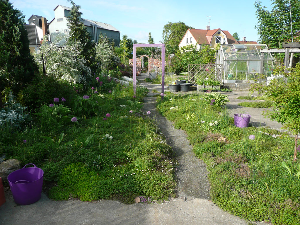 Path, Bla Huset