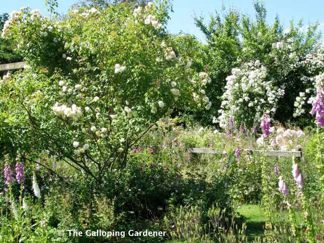 Hunt's Court Garden, Dursley