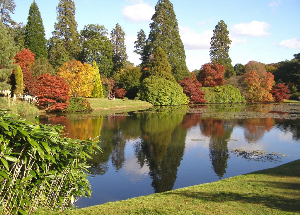 Sheffield Park Garden, Autumn 2010