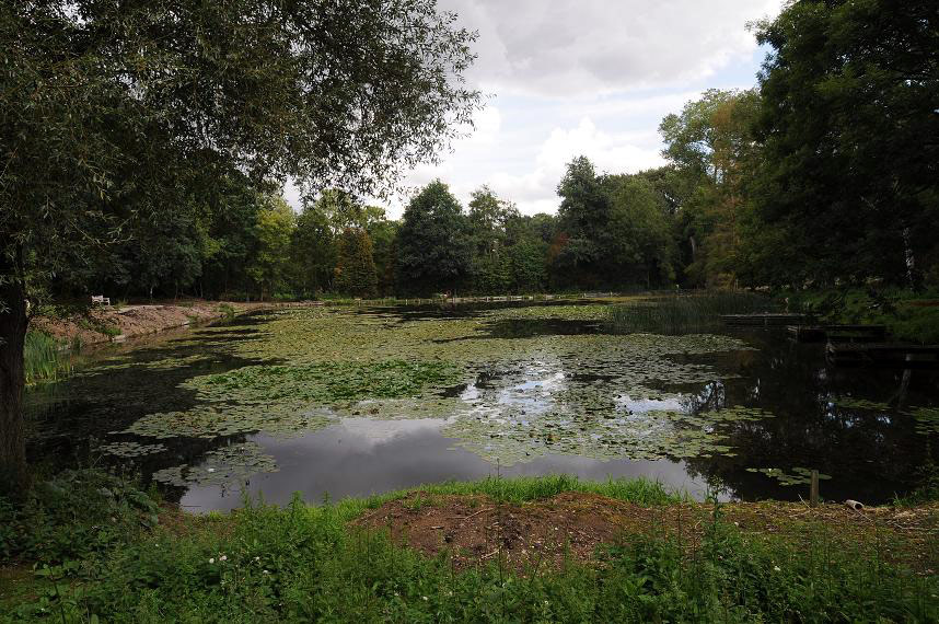 Pond, Easton Lodge