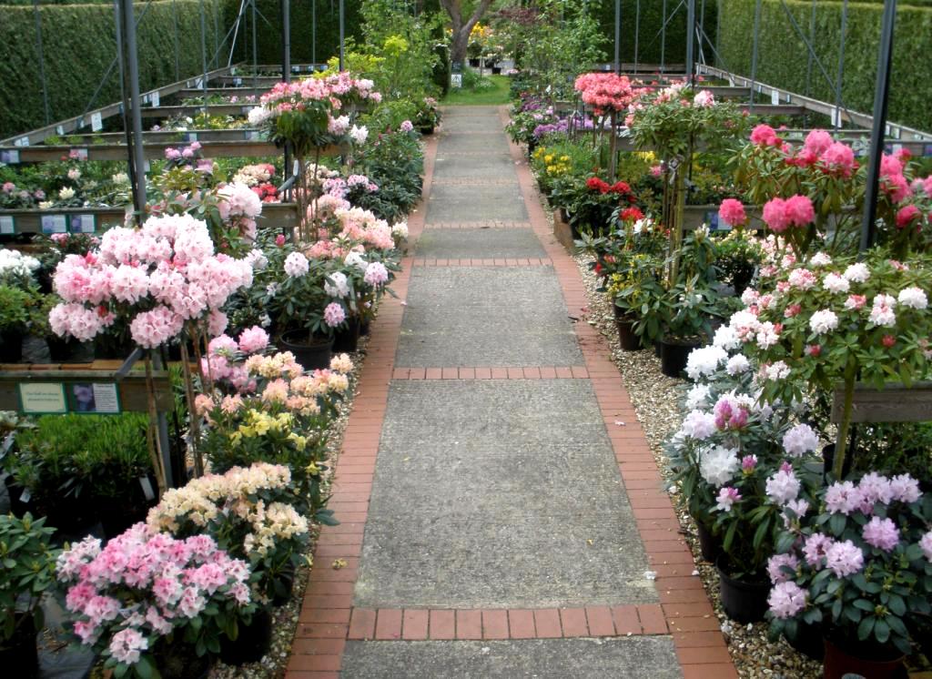 Millais Plant Centre