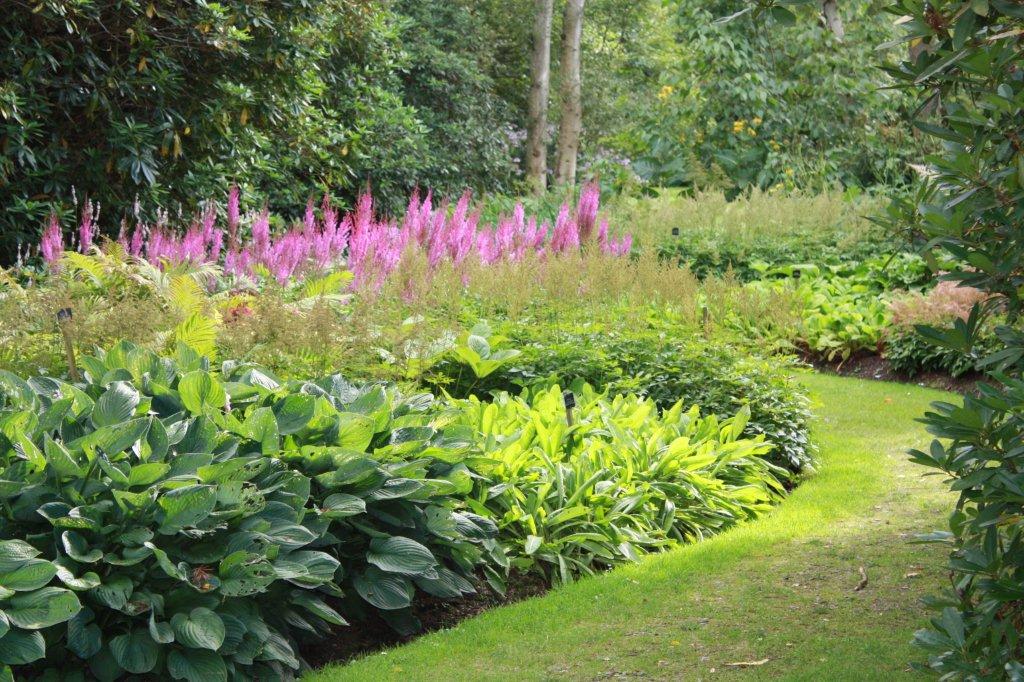 The Savill Garden, Windsor