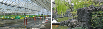 Hyde Park Glasshouse Conservatory
