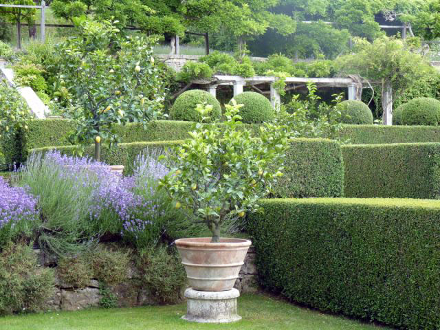 Villa La Foce, 2010