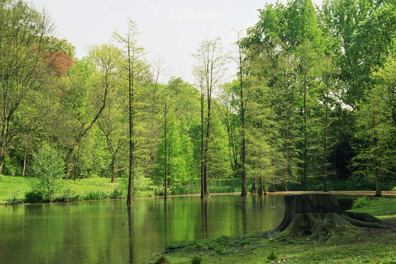 Rombergpark, Dortmund