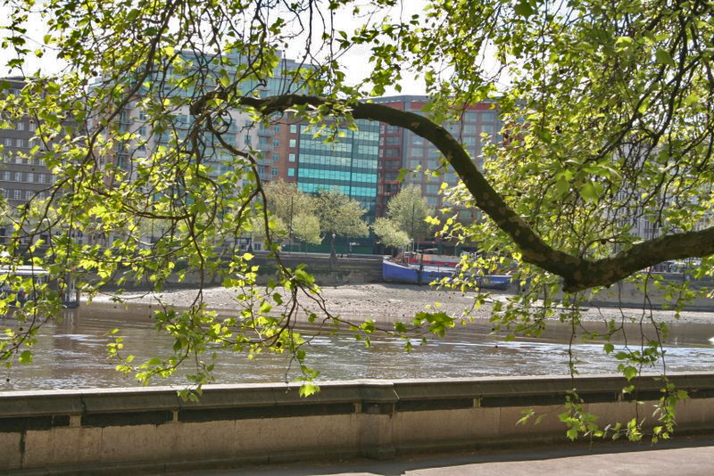 Victoria Tower Gardens