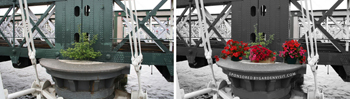 Hungerford Bridge Central London Flower Market