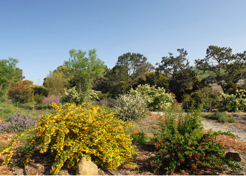 Hummingbird Butterfly Garden