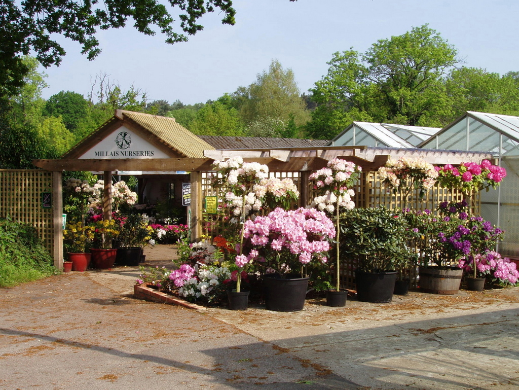 Entrance, Millais Nurseries