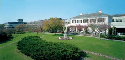 Vineyard Hotel & Spa