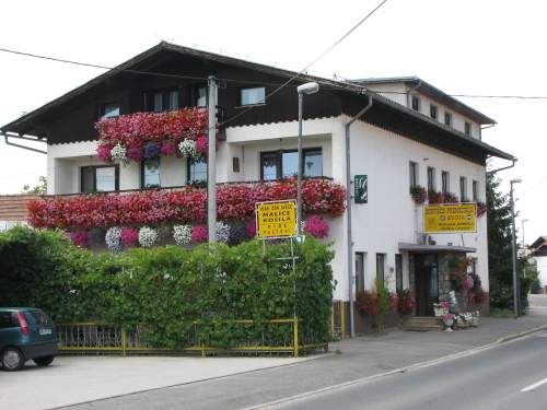 Guesthouse Budja