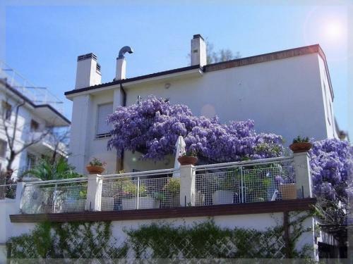 Hotel Tritone