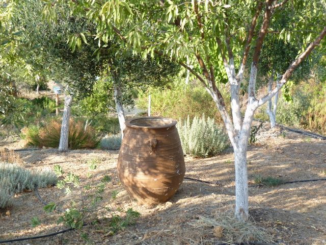 Crete Botanical Garden, Greece