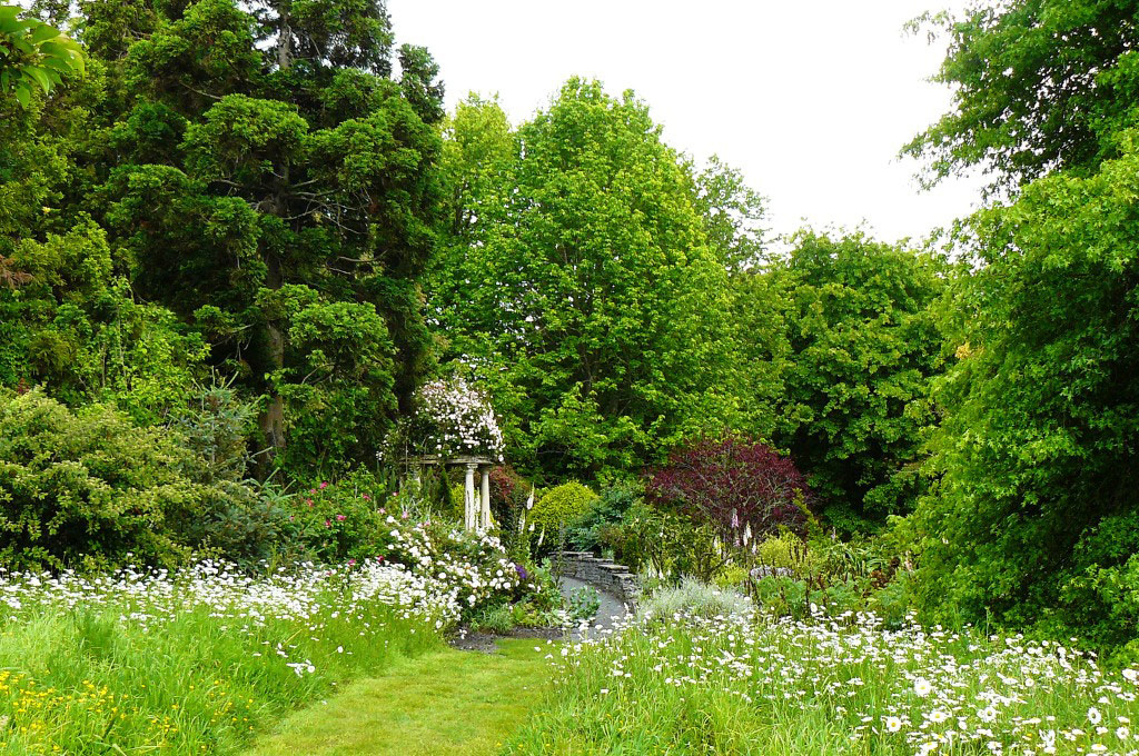 Meadow, Ayrlies
