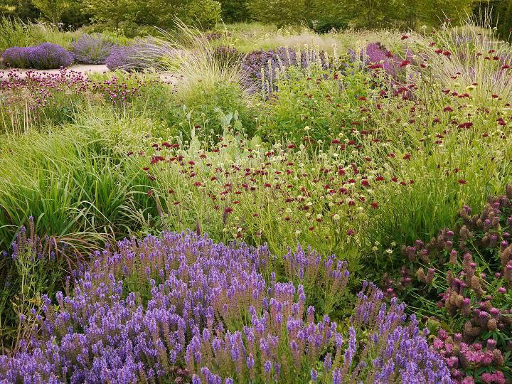 Scampston Walled Garden, July