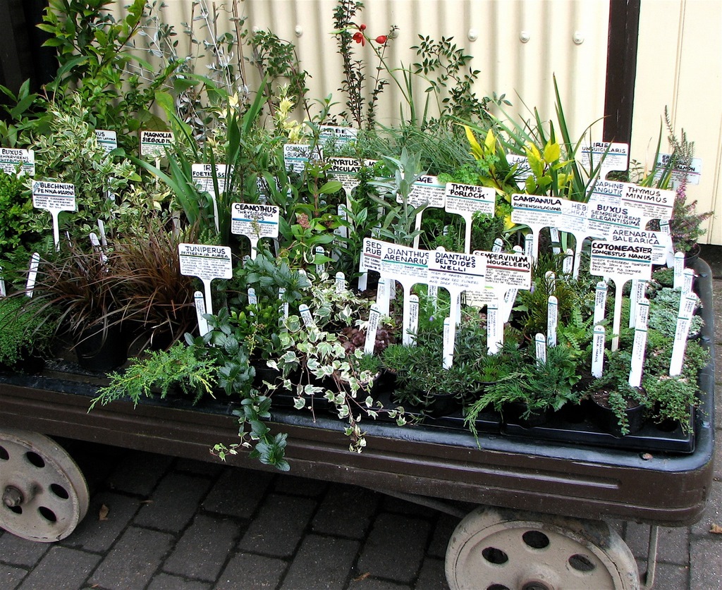 Tan-y-Llyn Nurseries, Powys