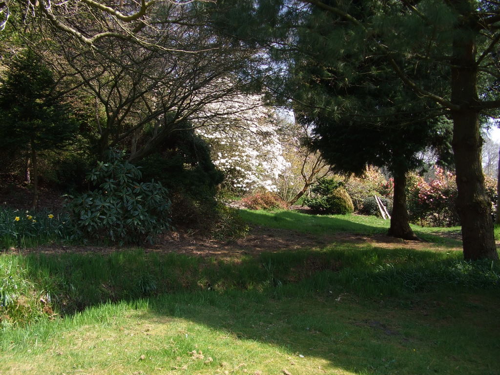 Chiff Chaffs Garden, Dorset