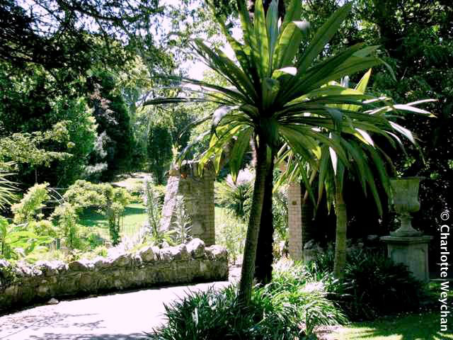 Ventnor Botanic Garden, 2010