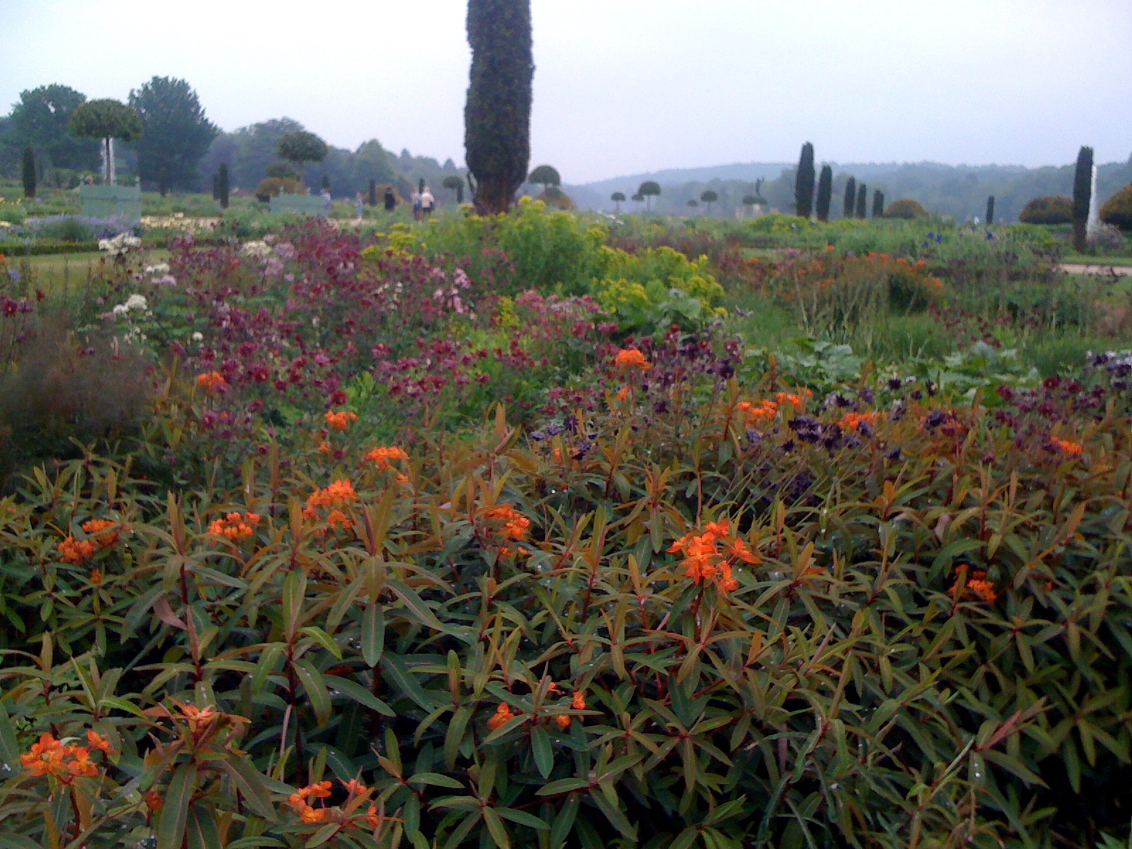Italian Garden, Trentham Gardens