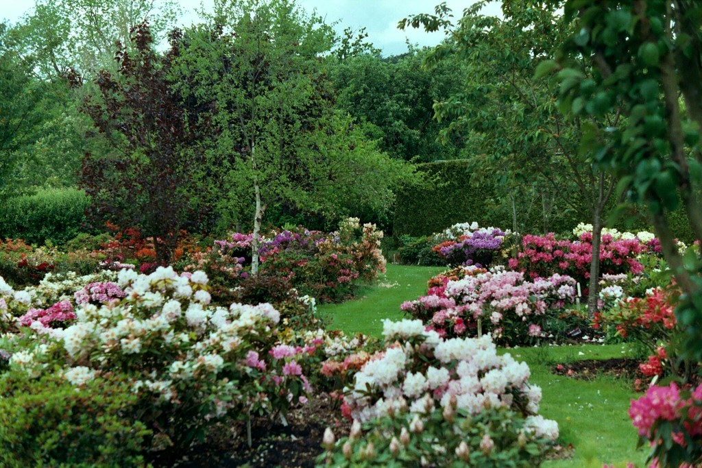 Trial Garden