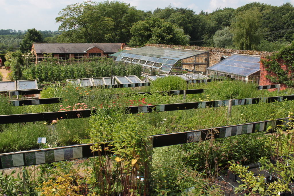 Coton Manor Nursery