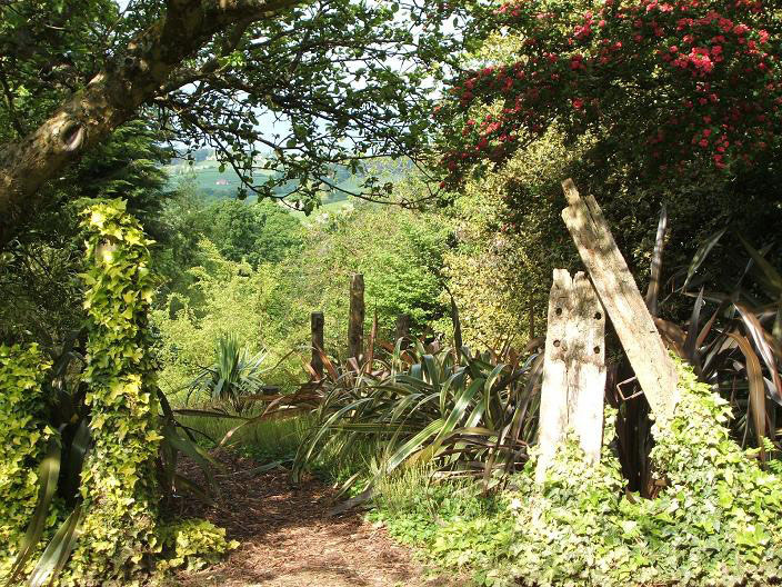 Moors Meadow Gardens, Herefordshire