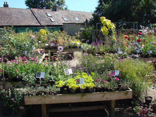 Long House Plants, Essex