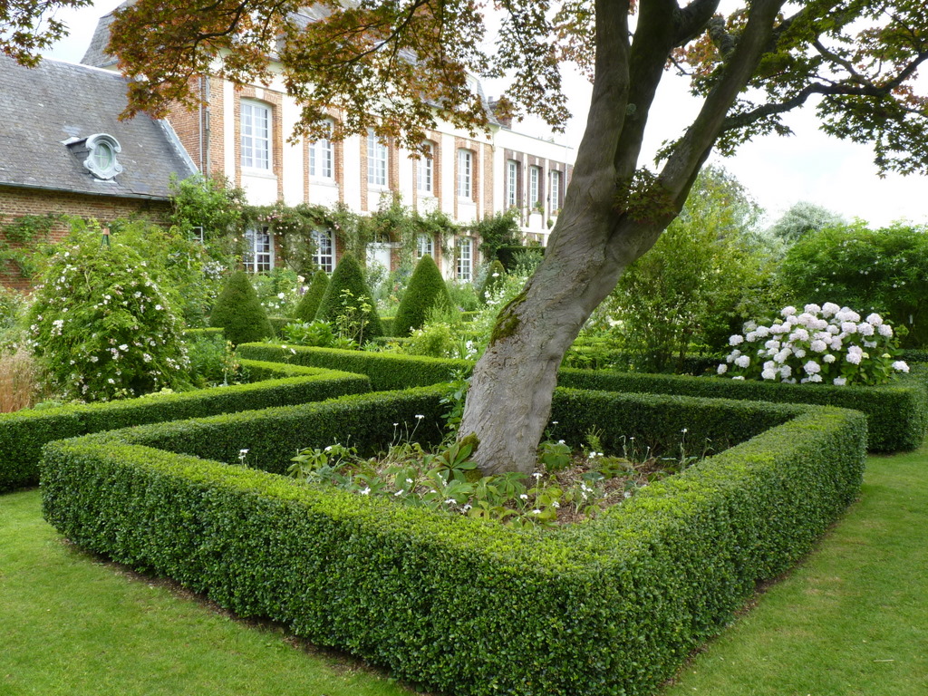 Jardins d'Angelique, 2011