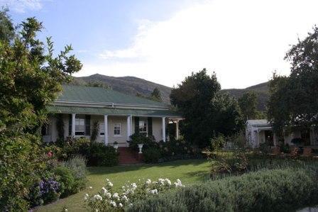 Montagu Vines