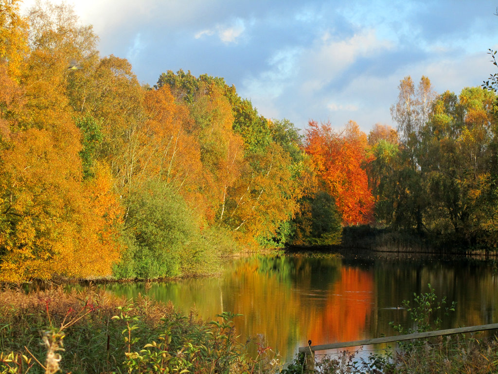 Pensthorpe, Autumn