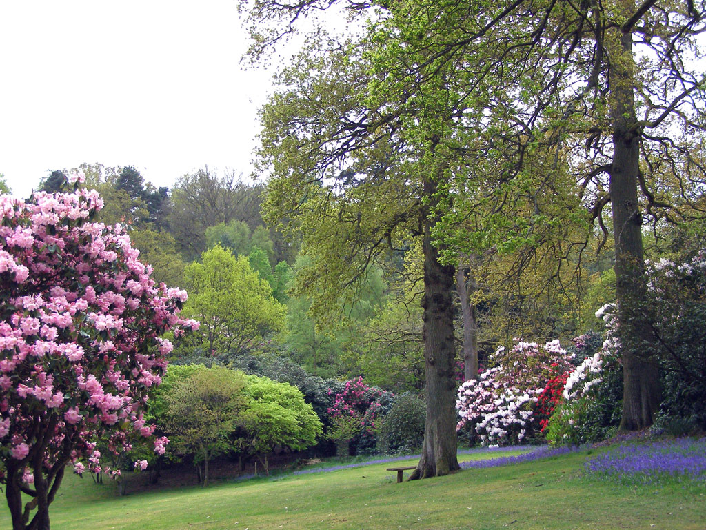 Spring, Bowood Estate