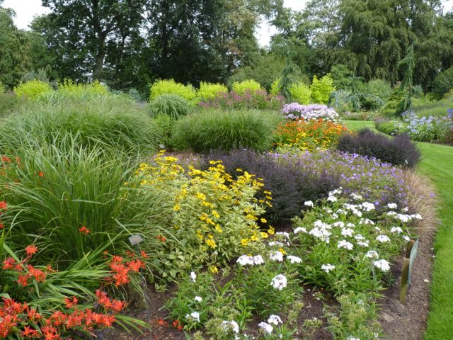 Bressingham Garden, 2010