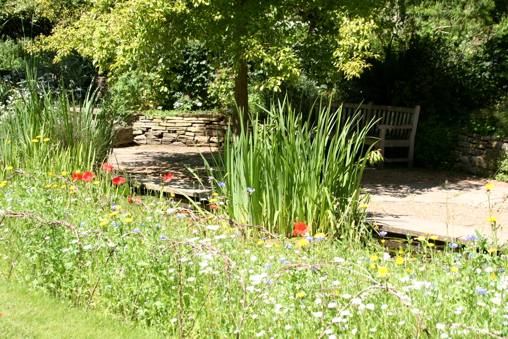 Chelsea Physic Garden, June 2011