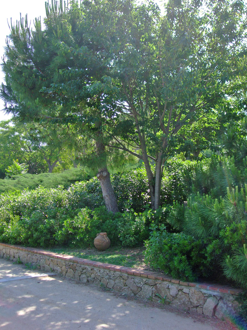 Jardins de Petra Kelly