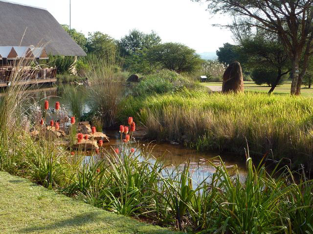 Wetland, Pretoria NBG