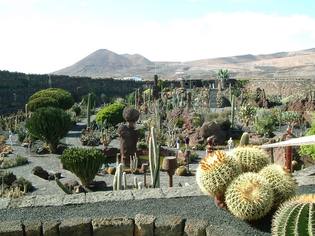 Jardin de Cactus
