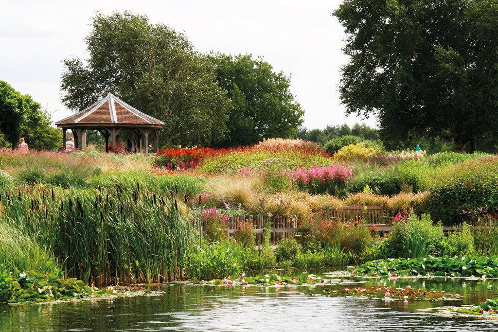 Millenium Garden, Pensthorpe