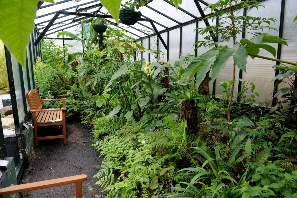 Greenhouse, Dhu Varren Garden